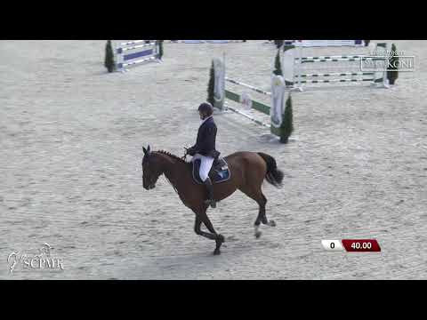 TRACJA (Spartacus x Triple) - 18.09.09 SCPMK Olsza finał koni 5 letnich I SPRZEDANA/SOLD