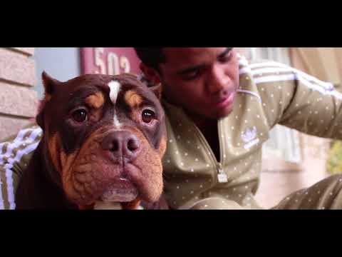 This Year - Yuppie Zanotti (Official Video)