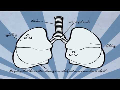 Maybeshewill - Co-Conspirators