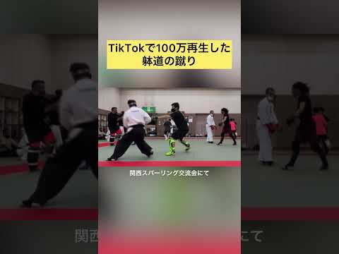 TikTokで100万再生した躰道の蹴り #関西スパーリング交流会 #躰道 ＃100万再生