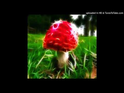 Aum Sector - Mushroomhead