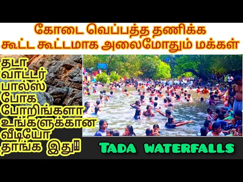 TADA WATER FALLS | தடா அருவி | TAMIL  