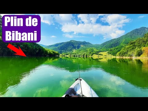 Am pescuit BIBANI  intr-o LOCATIE FABULOASA din caiac