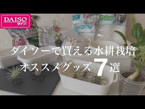 , title : '【ダイソーで買える】水耕栽培オススメグッズ7選'