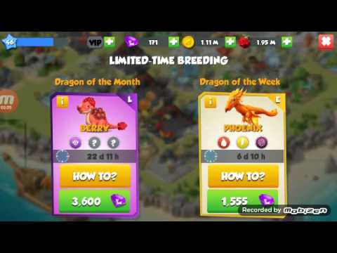 Phoenix Dragon Breeding Guide