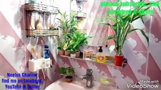 Decorate your room with indoor plants.