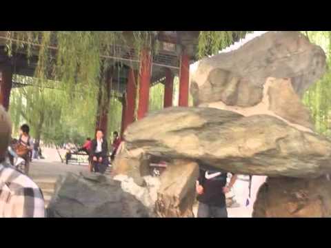 GEN Dequan -﻿ Deep in the bamboo Forest