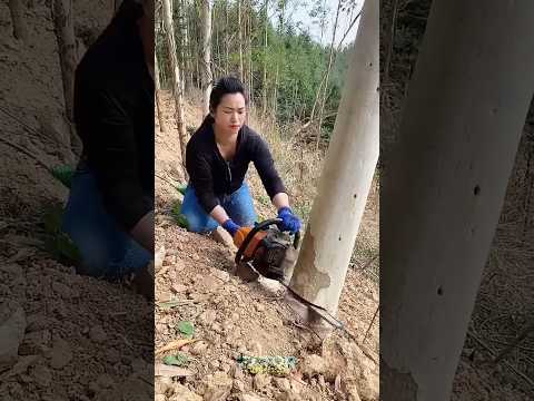 Now that's a risky job!