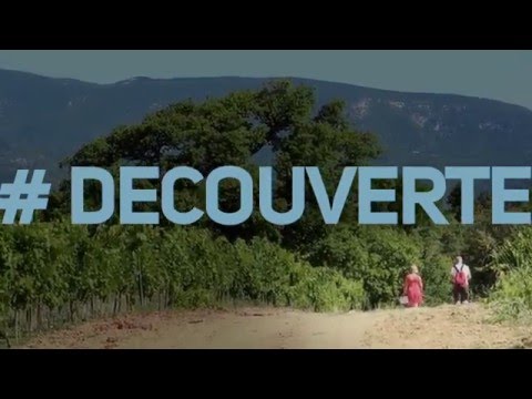 Video vignette