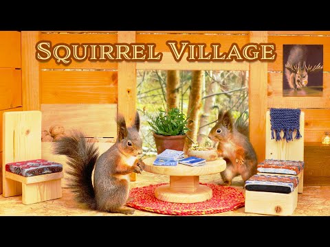 Squirrel Village 3 - Relax with Squirrels and Birds | Perfect Dog & Cat TV
