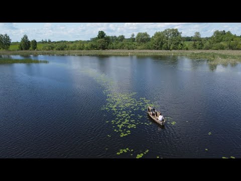 Снять агроусадьбу, д. Чернево, 39 (Браславский р-н, Витебская область)
