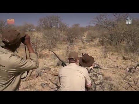 Darz Bór zapowiedź odcinka 167