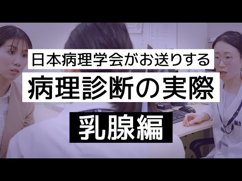 「ローゼンハイム警察」: 新しいエピソード - 新しい病理学者が登場します!