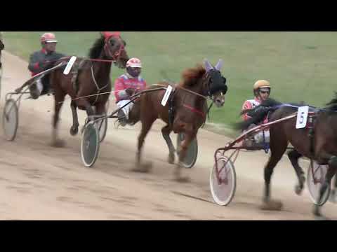 2022.04.09. 08. futam - TÖRZS ÚR DÍJ