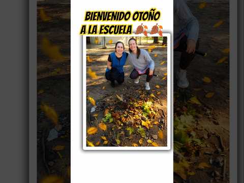 Así recibimos el otoño en la Donto🍂👌 #otoño #escuela #rafaela #santafe #otoño2026