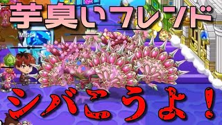 【城ドラ】フレンドの名前カッコよかったからシバいてみた【西木野】