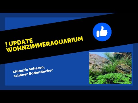 Zweites Update Wohnzimmeraquarium