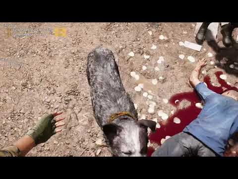 Boomer Is A Good Boy - Far Cry 5 Gameplay on Xbox One