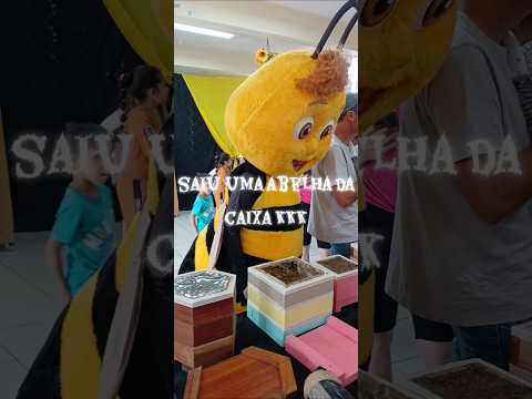 projetos da escola clotario portugual arapoti pr