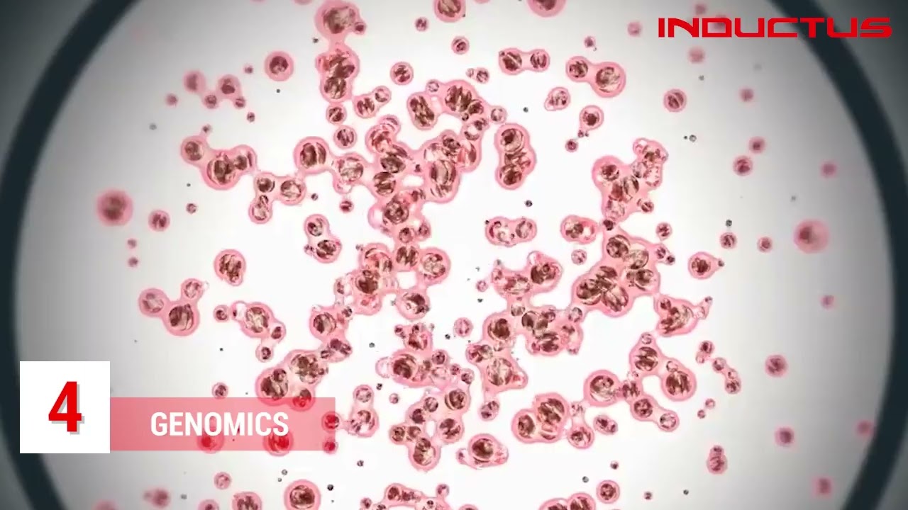 Growing Industries of the Future 2030