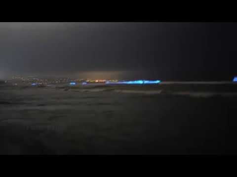 Chennai Beach Glows like plasma TV