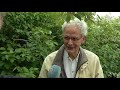 Dordt ruimt dode vissen op