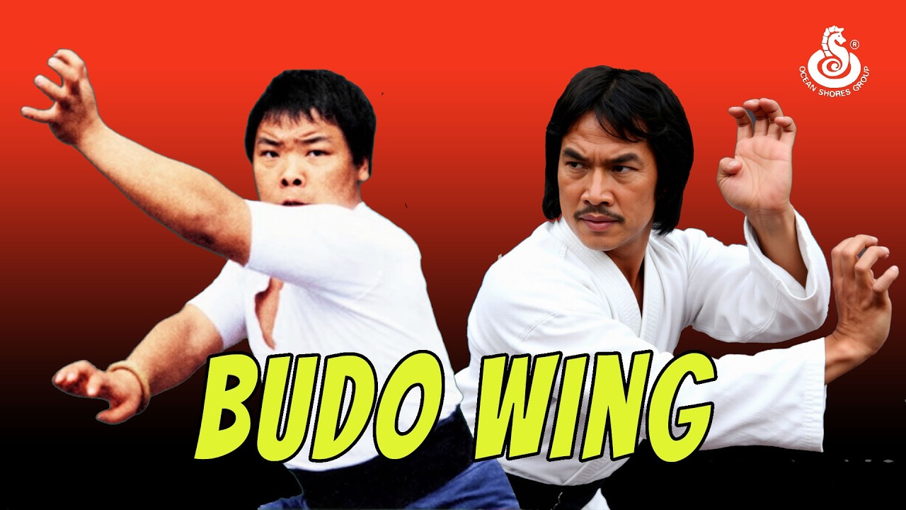 Wu Tang Collection - Budo Wing