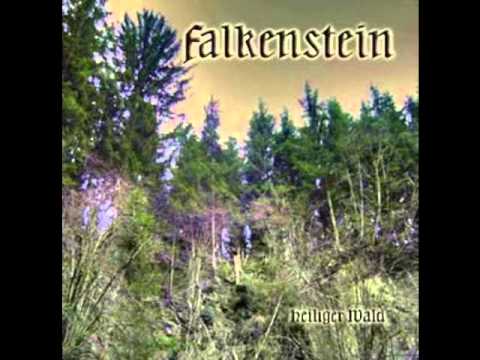 Falkenstein - Aus der Winterwüste