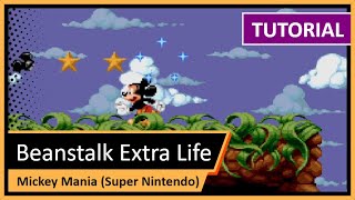 Capa de Beanstalk Extra Life