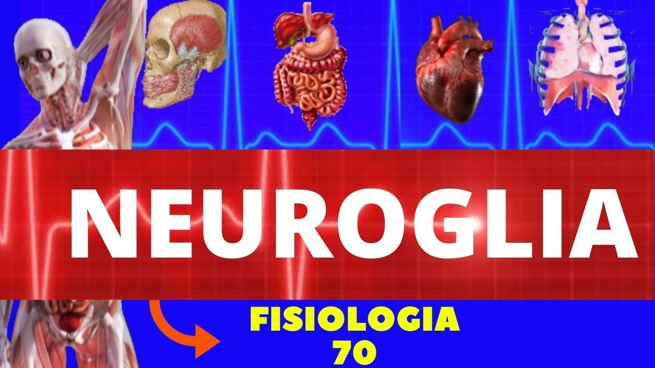NEUROGLIA (CÉLULAS DA GLIA) - NEUROFISIOLOGIA - FISIOLOGIA DE GUYTON - SISTEMA NERVOSO