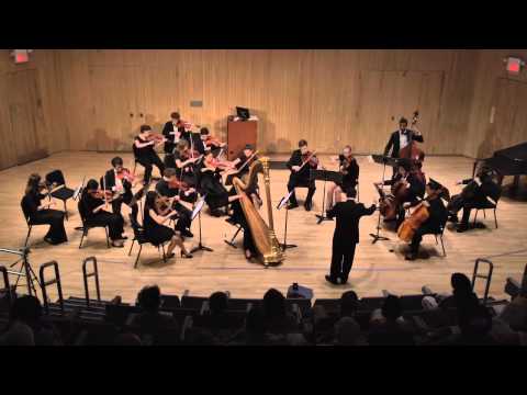 Antonio Vivaldi - Concerto for Lute in D Major Second Movement - Gioacchino Longobardi