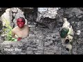 વાંદરા ની ધમાલ - 5 || Khajur Bhai || Jigli and Khajur || Khajur Bhai Ni Moj ||New Video|| Nitin Jani