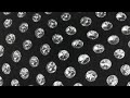 Beyoncé 1 DONK Official Audio