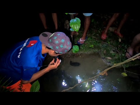 BINALIKAN NAMIN ANG LUNGGA NG MGA HIPON CATCH AND COOK