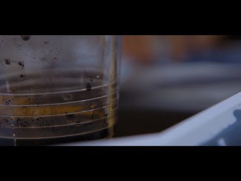 Herunterladen Chris The Swiss Ganzer Film 4K Deutsch 2019