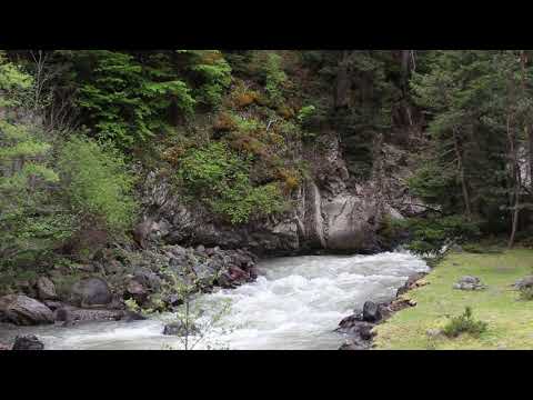 Mountain Stream Sounds use for Relaxation, Sleep, insomnia - 1 Hour - HD 1080p