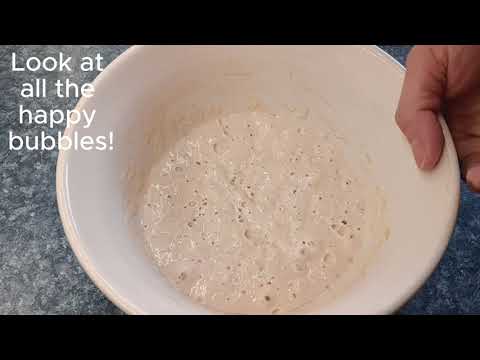 Making Einkorn Sourdough Levain with a Semi Stiff Starter