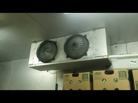 download lagu mp3 mp4 What Temp Should Walk In Cooler Be, download lagu What Temp Should Walk In Cooler Be gratis, unduh video klip What Temp Should Walk In Cooler Be