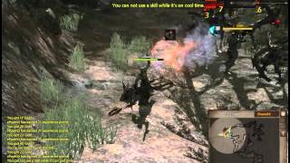 Kingdom Under Fire II gameplay