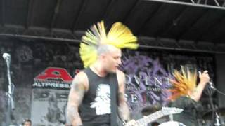 The Casualties-Punk rock love