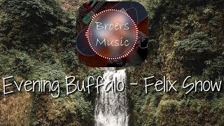 🎧 EVENING BUFFALO - FELIX SNOW [Broers Music]