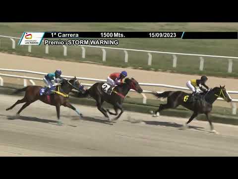 230915 c01 - KING STAR - HIPODROMO LAS PIEDRAS
