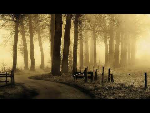 Dragos Moldovan-Astazi si maine (Cargo cover)