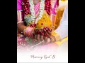 Sollitharava Sollitharava Sollitharava Song Bgm Whatsapp Status Tamil