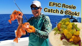 DEEP DROPPING for Blackbelly Rosefish: Elizabeth's FAVORITE | Catch and Cook