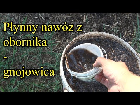 Ogrodowe pierdamony 5 - płynny nawóz z obornika (gnojowica)