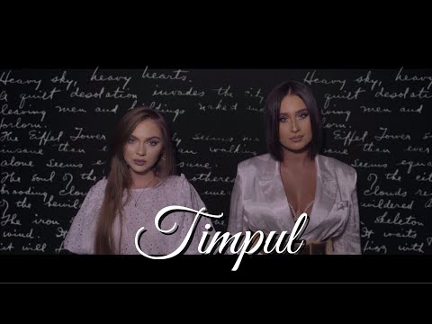Trupa The Mood - Timpul (cover) | Andra