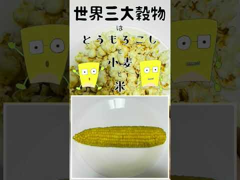 薬学科 世界三大穀物