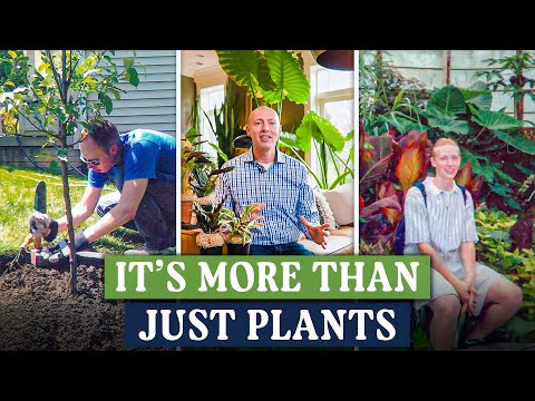 Welcome to Pistils & Pollen | Plant Care Tips, DIY Projects & Indoor Jungle Joy