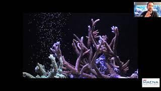 mini MACNA - Dr. Jamie Craggs – Spawning coral for a new future for the industry